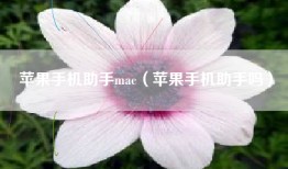 苹果手机助手mac（苹果手机助手吗）