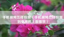 手机视频怎样投屏（手机视频怎样投屏到电视机上面播放）