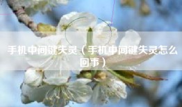 手机中间键失灵（手机中间键失灵怎么回事）