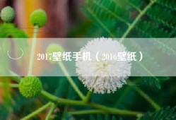 2017壁纸手机（2016壁纸）