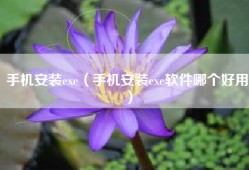 手机安装exe（手机安装exe软件哪个好用）