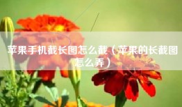 苹果手机截长图怎么截（苹果的长截图怎么弄）