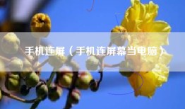 手机连屏（手机连屏幕当电脑）