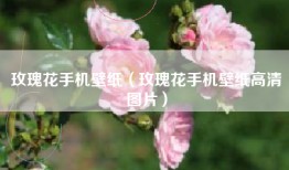 玫瑰花手机壁纸（玫瑰花手机壁纸高清图片）