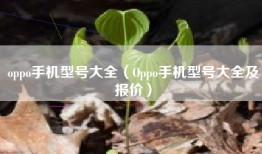 oppo手机型号大全（Oppo手机型号大全及报价）