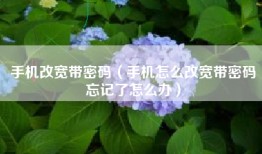 手机改宽带密码（手机怎么改宽带密码忘记了怎么办）