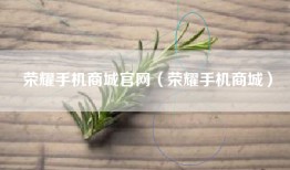 荣耀手机商城官网（荣耀手机商城）