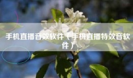 手机直播音效软件（手机直播特效音软件）