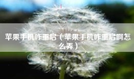 苹果手机咋重启（苹果手机咋重启啊怎么弄）