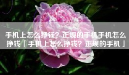 手机上怎么挣钱？正规的手机手机怎么挣钱「手机上怎么挣钱？正规的手机」