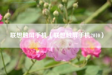 联想触屏手机（联想触屏手机2010）