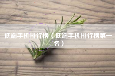 低端手机排行榜（低端手机排行榜第一名）