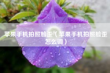 苹果手机拍照脸歪（苹果手机拍照脸歪怎么调）