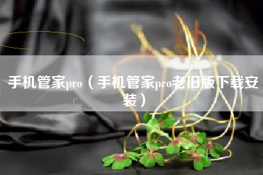 手机管家pro（手机管家pro老旧版下载安装）